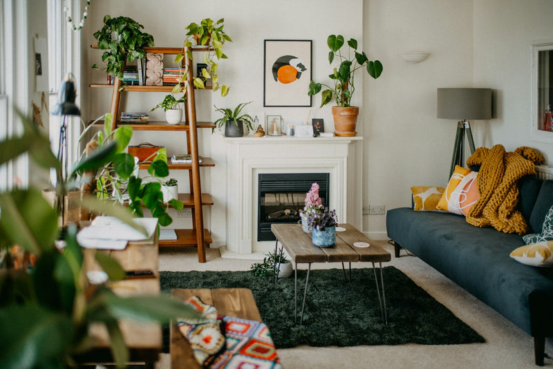 Home & Living