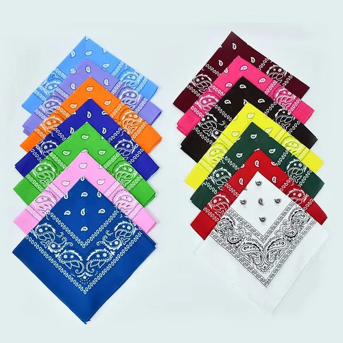 Classic Paisley Bandana